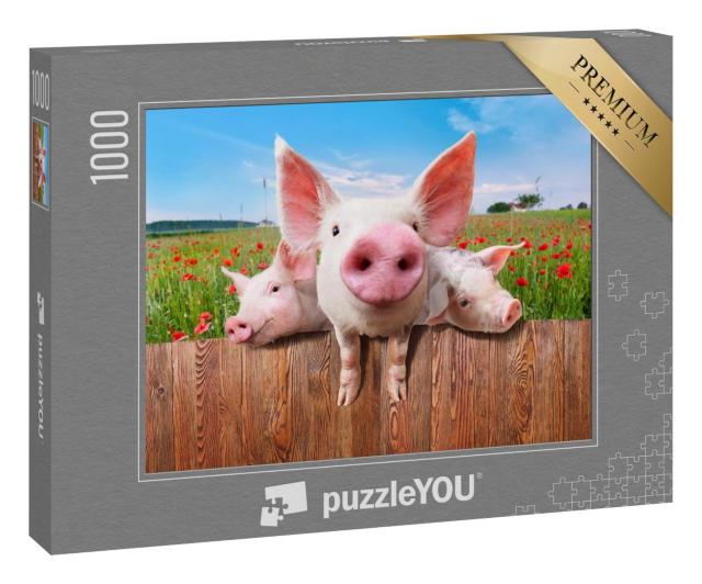 Puzzle 100 Teile „Junge Schweine auf dem Bauernhof schauen über den Zaun“
