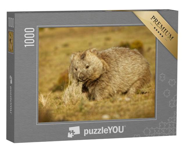 Puzzel 1000 stukjes „Wombat in Tasmanië bij nacht“