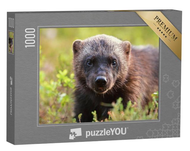 Puzzel 1000 stukjes „Portret van een veelvraat“