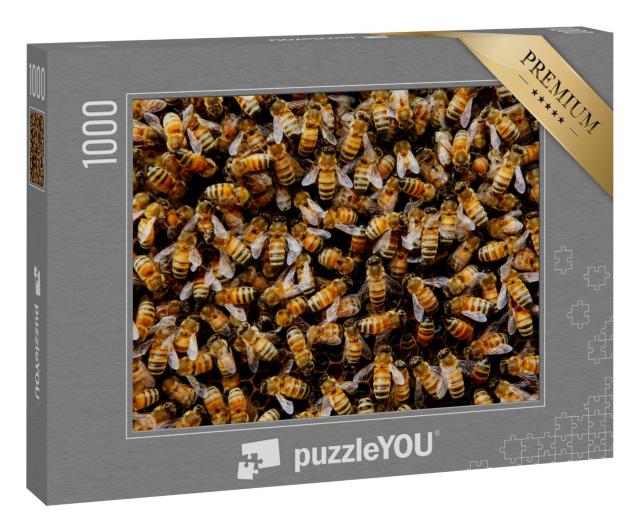 Puzzle „Ein Bienenvolk versammelt sich um seine Königin“