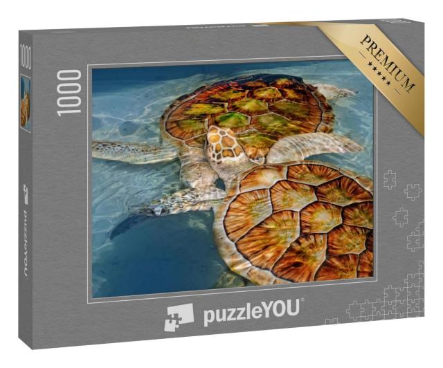 Puzzle 1000 Teile „Zwei Wasserschildkröten“