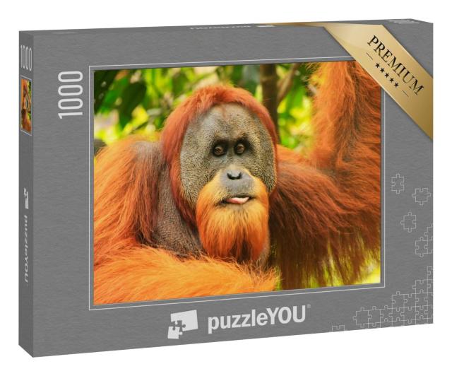 Puzzle 1000 Teile „Porträt eines männlichen Sumatra-Orang-Utans “