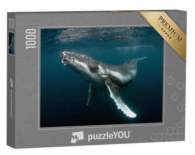 Puzzel 1000 stukjes „Bultrug walvis kalf“