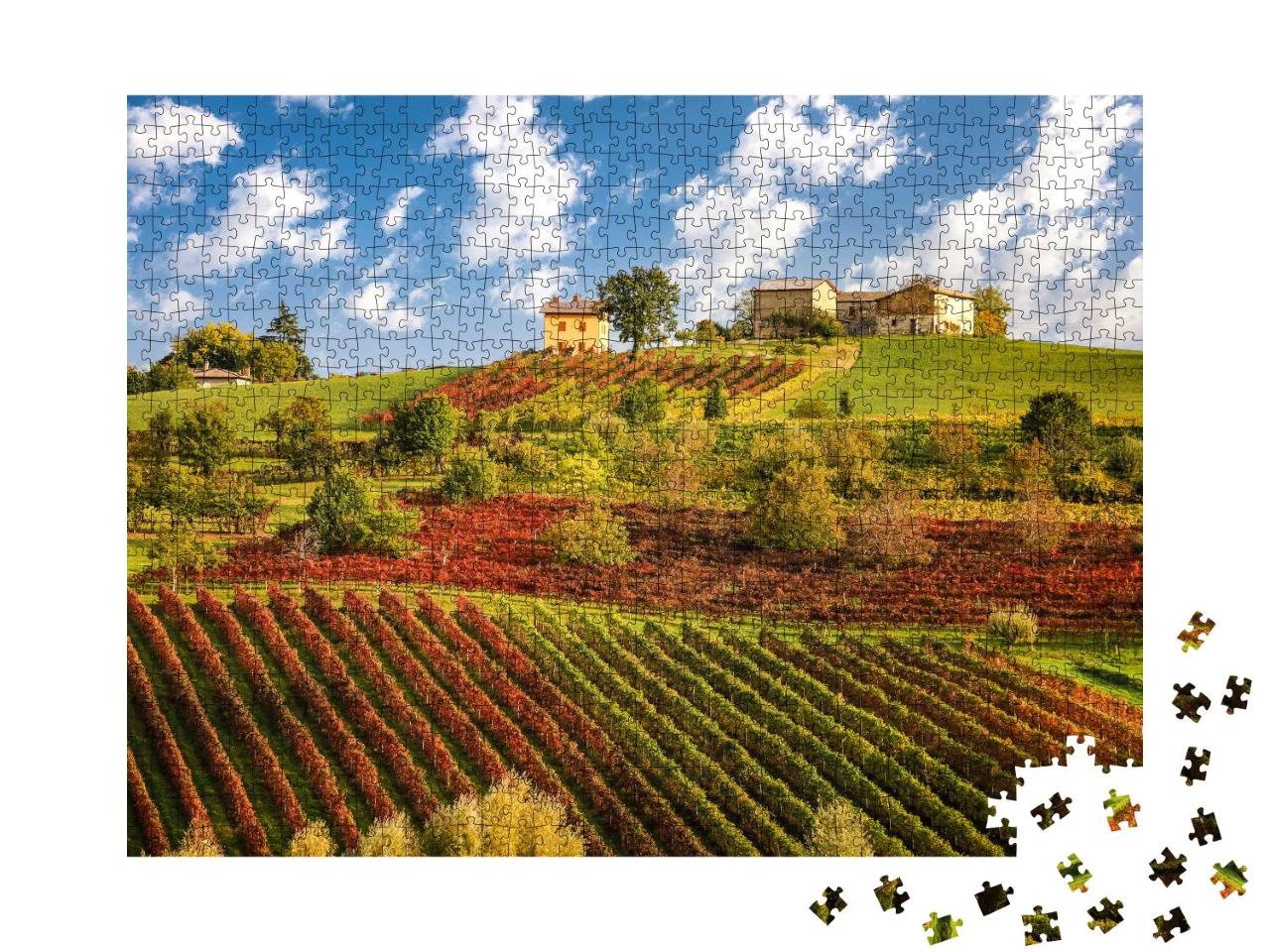 Puzzle 1000 Teile „Lambrusco-Weinberge bei Castelvetro, Provinz Modena, Emilia Romagna, Italien“