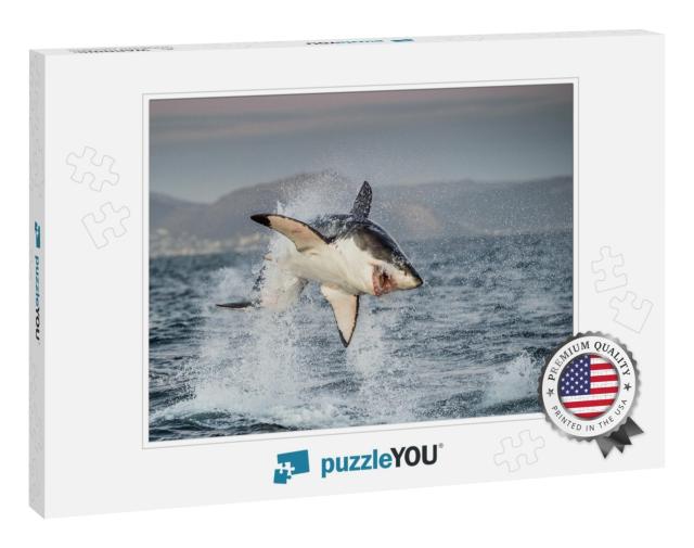 Great White Shark Carcharodon Carcharias Breaching in an... Jigsaw Puzzle