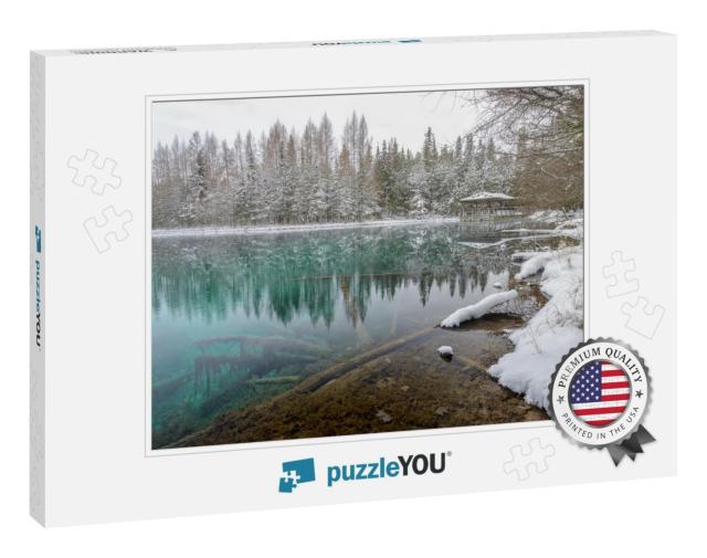 Kitch-Iti-Kipi, Big Spring. Fresh Snow in the Forest Alon... Jigsaw Puzzle