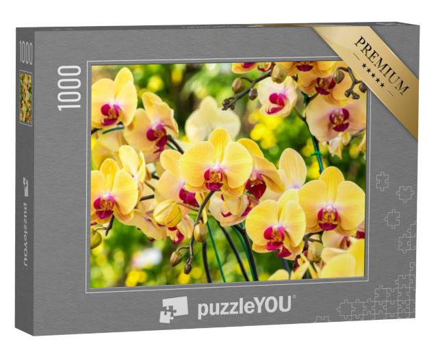 Puzzel 1000 stukjes „Prachtige gele orchidee“