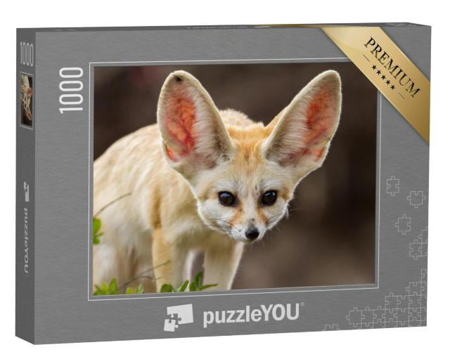 Puzzel 1000 stukjes „Schattige fennec vos met grote oren“