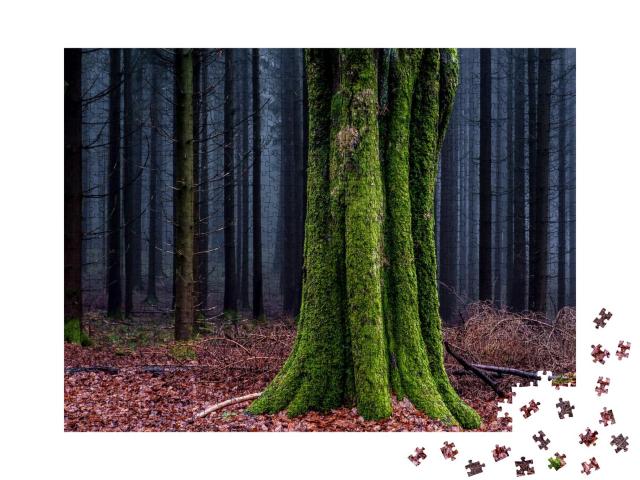 Puzzle 1000 Teile „Moosbewachsener Baumstamm im Herbstwald, im Hintergrund Nebel“