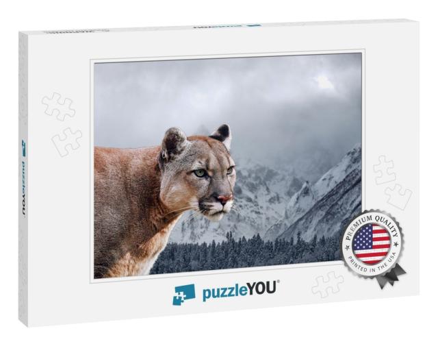 Portrait of a Cougar, Mountain Lion, Puma, Panther... Jigsaw Puzzle
