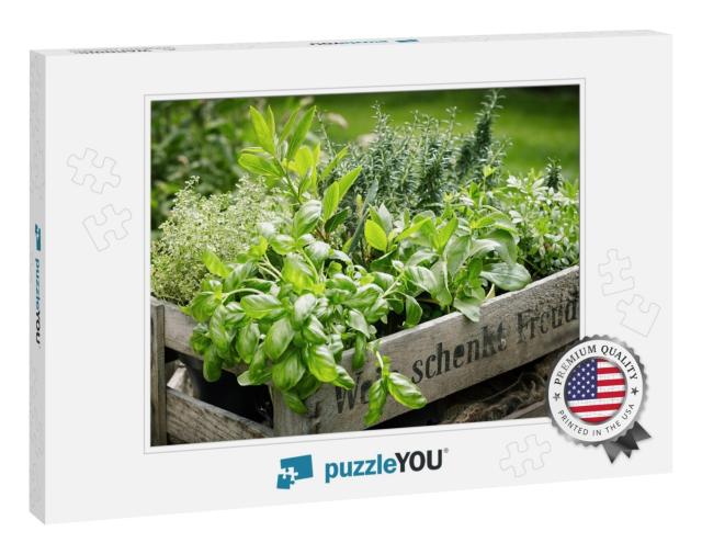 Wooden Crate with a Variety of Fresh Green Potted Culinar... Jigsaw Puzzle