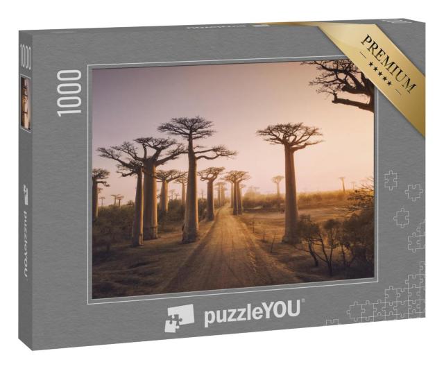 Puzzle 100 Teile „Baobab-Bäume bei Sonnenuntergang, Affenbrotbaum in Madagaskar“