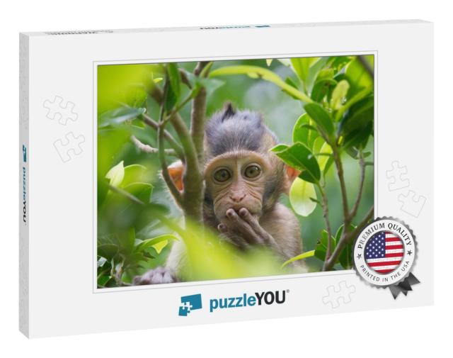 A Cute Monkey Lives in a Natural Forest of Thailand... Jigsaw Puzzle