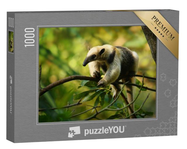 Puzzel 1000 stukjes „Noordelijke tamandua, miereneter uit Mexico“