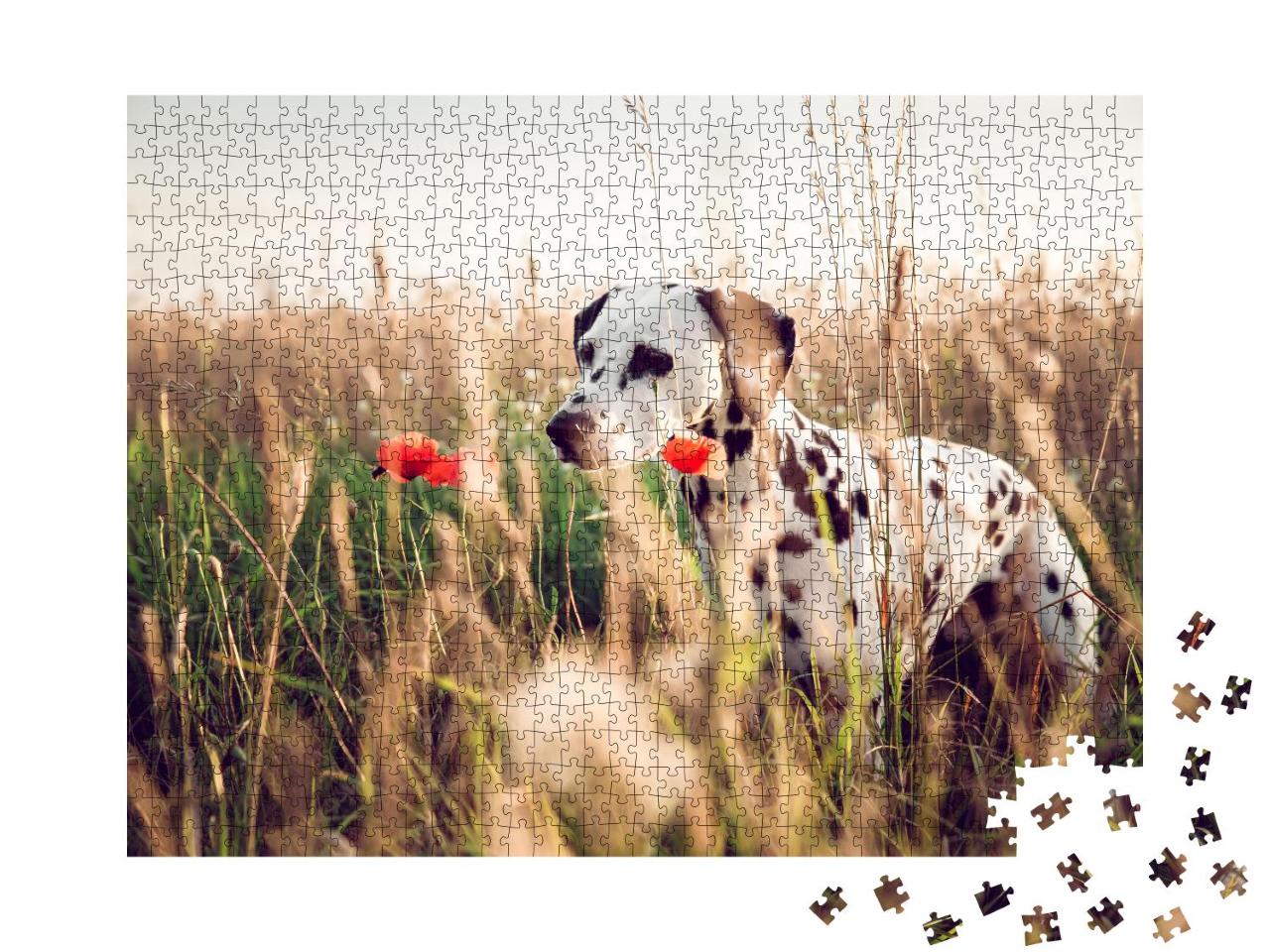 Puzzle 1000 Teile „Niedlicher Dalmatiner in einem Kornfeld“