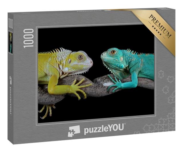 Puzzle 1000 Teile „Blauer Leguan: Grand Cayman Blue Iguanas“