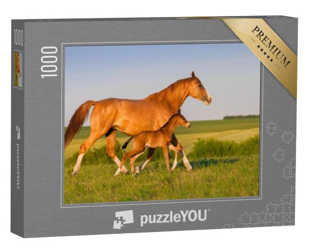 Puzzel 1000 stukjes „Merrie met veulen bij zonsopgang“