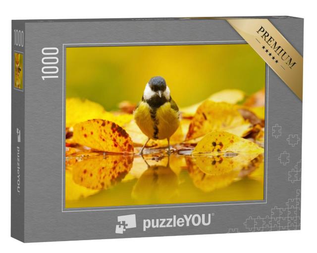 Puzzel 1000 stukjes „Koolmeesje in herfstbladeren“