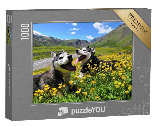 Puzzel 1000 stukjes „Twee Siberische husky's in de bergen van de Kaukasus“