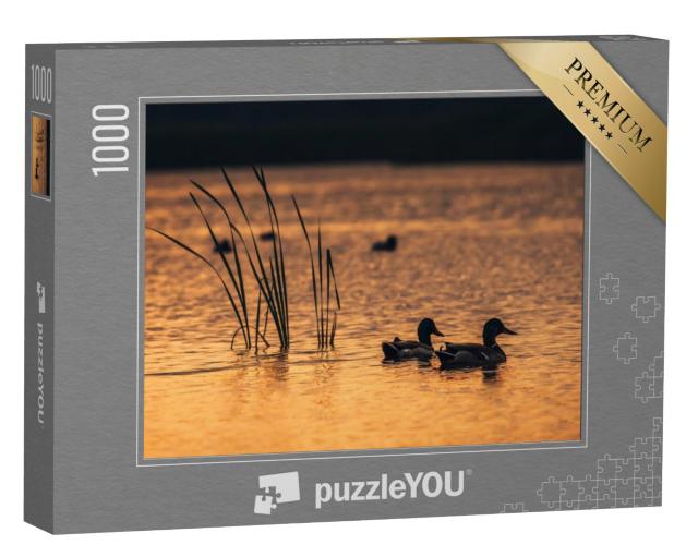 Puzzel 1000 stukjes „Eenden in het water van het meer tijdens zonsopgang“