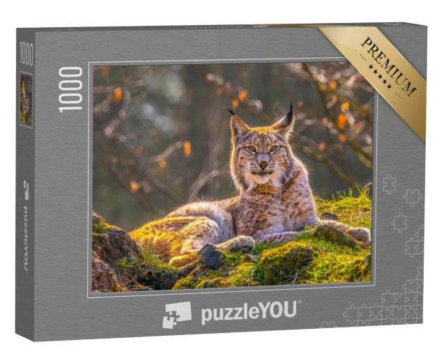 Puzzel 1000 stukjes „Jonge lynx in de wildernis van het bos“