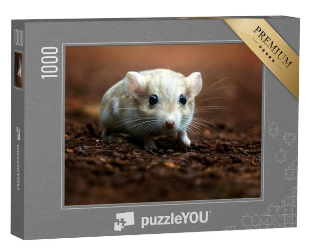 Puzzel 1000 stukjes „Schattige gerbil met grote donkere ogen“