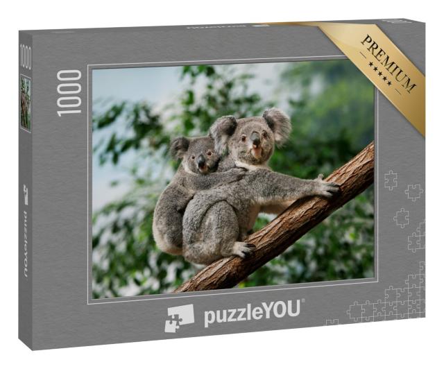 Puzzle 1000 Teile „Koala-Jungtier kuschelt sich an den Rücken seiner Mutter“
