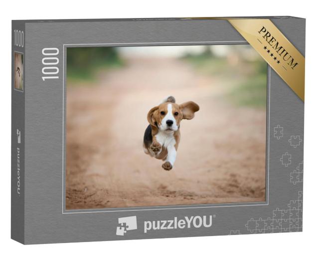 Puzzel 1000 stukjes „Een beagle puppy in de achtertuin“