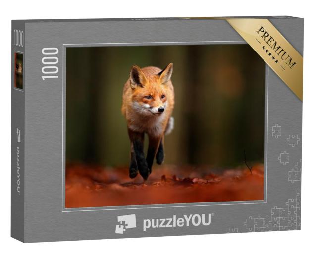 Puzzel 1000 stukjes „Rode vos in herfstachtig terrein“