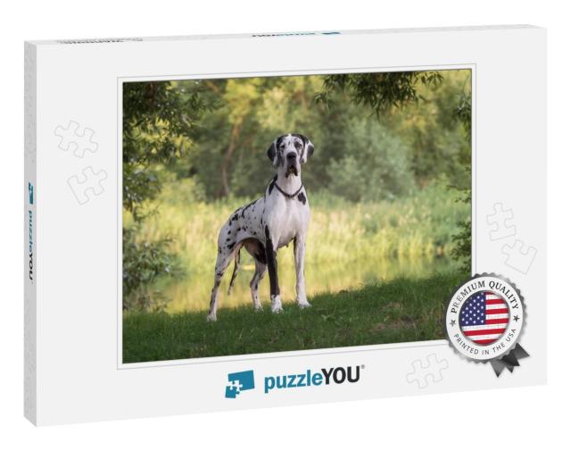 Great Dane in Beautiful Landscapes... Jigsaw Puzzle