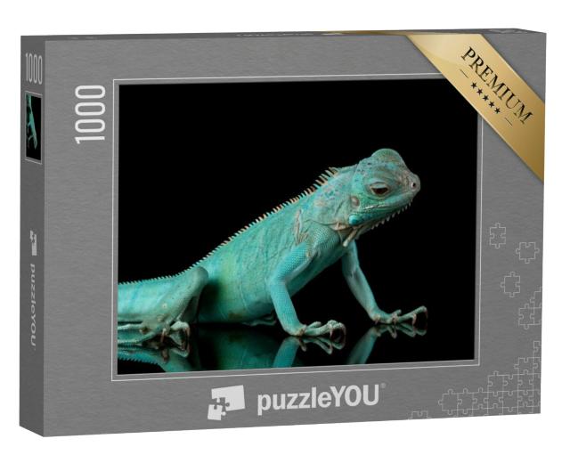 Puzzel 1000 stukjes „Blauwe leguaan“