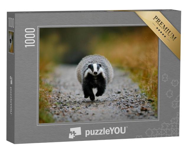 Puzzel 1000 stukjes „Das rennend door het bos, Sumava, Tsjechië“