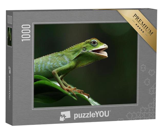 Puzzel 1000 stukjes „Smaragdhagedis zonnebadend op een tak, Jubata hagedis“