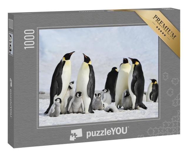 Puzzle 1000 Teile „Kaiserpinguin-Kolonie mit Jungtieren in der Antarktis“