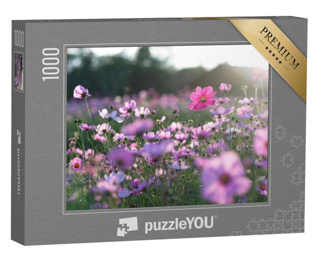 Puzzel 1000 stukjes „Een veld met cosmea's, sieradenmanden“