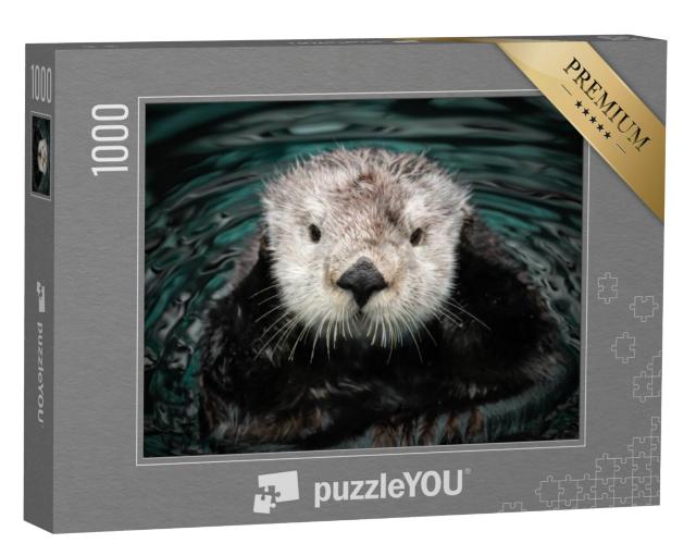 Puzzel 1000 stukjes „Zeeotters in het water“