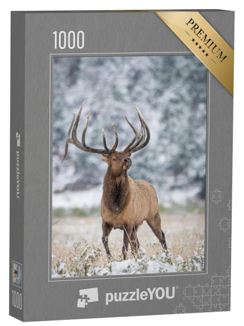 Puzzel 1000 stukjes „Wilde eland“