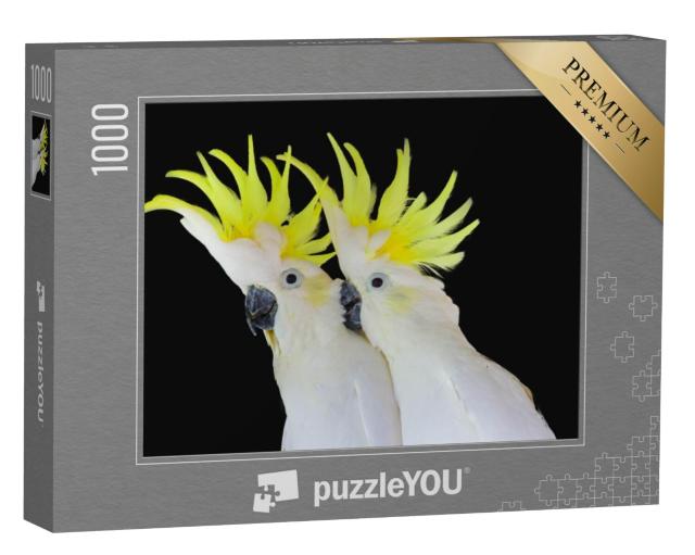 Puzzel 1000 stukjes „Grote zwavel-kuif kaketoe“