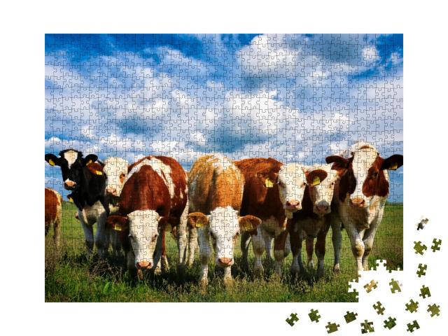 Puzzle 100 Teile „Kühe auf einer grünen Sommerwiese“