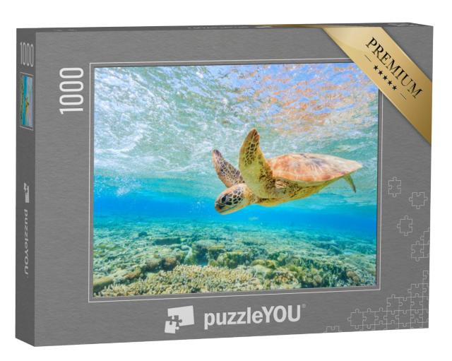 Puzzel 1000 stukjes „Een duikende schildpad, lagune op Lady Elliot Island“