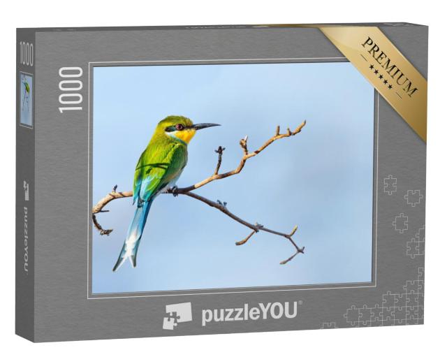 Puzzel 1000 stukjes „Zwaluwzwaan op een acaciaboom, Botswana“