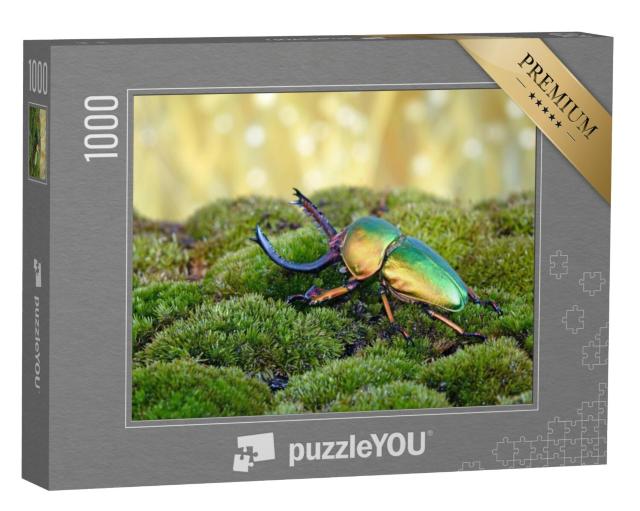 Puzzel 1000 stukjes „Zaagtandkever of hertskever, een van de mooiste kevers ter wereld“