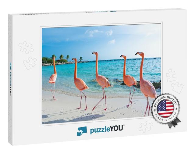 Pink Flamingo, Aruba Island... Jigsaw Puzzle
