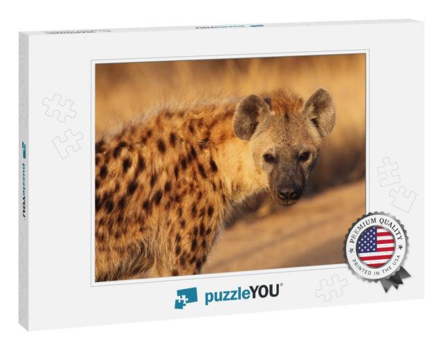 The Spotted Hyena Crocuta Crocuta Also Known as the Laugh... Jigsaw Puzzle