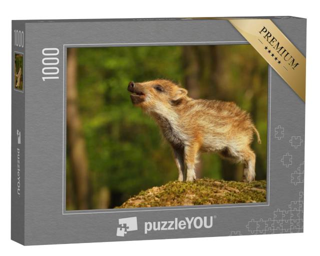 Puzzel 1000 stukjes „Gestreept baby everzwijn in het bos“