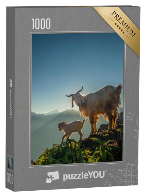 Puzzel 1000 stukjes „Een geit en haar jong in de bergen in het ochtendlicht“