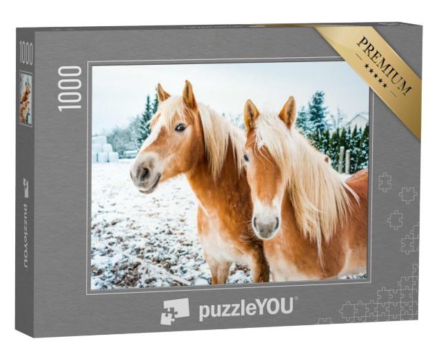 Puzzel 1000 stukjes „Haflinger paarden op een besneeuwde weide“