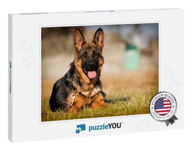German Shepherd Puppy Age 5 Months in the Grass... Jigsaw Puzzle