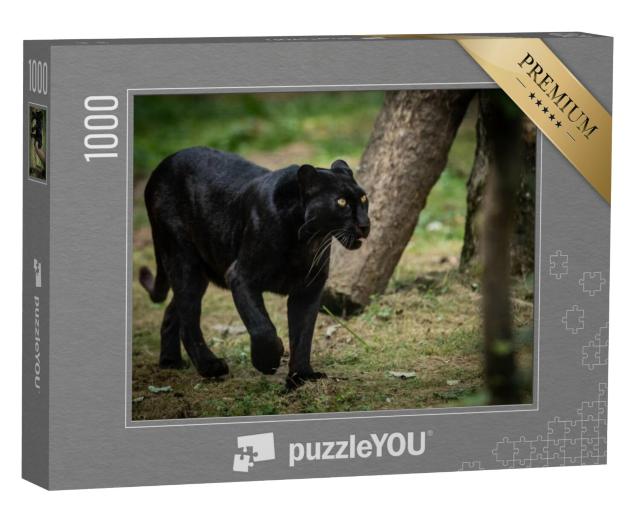 Puzzel 1000 stukjes „Bosfoto met een panter“