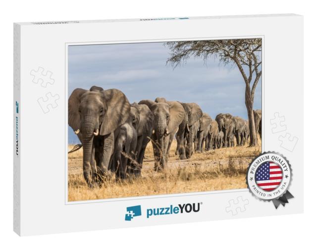 Herd of Elephants in Africa Walking Through the Grass in... Jigsaw Puzzle